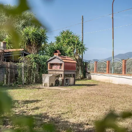 Oidor - Cilento *